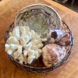 🐚✨ Coastal Decor Collection — Abalone Shell, Coral, Wire Basket
